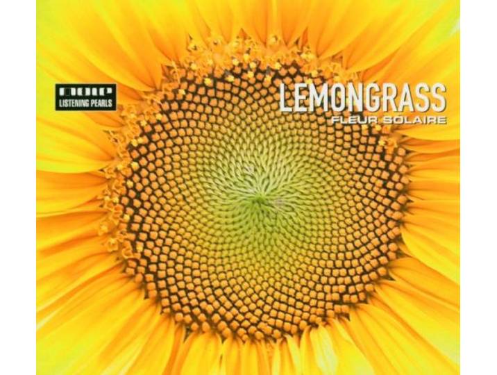 Fleur Solaire