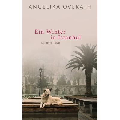 Ein Winter in Istanbul, Gebundene Ausgabe von Angelika Overath, Luchterhand