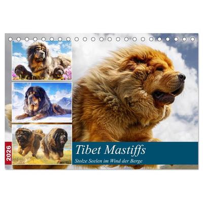 Tibet Mastiffs. Stolze Seelen im Wind der Berge (Tischkalender 2026 DIN A5 quer), CALVENDO Monatskalender