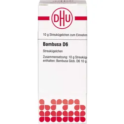 Bambusa D6 10 G