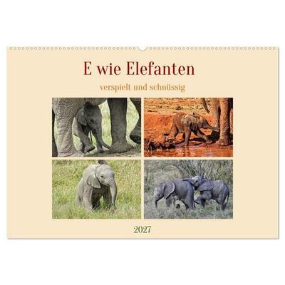E wie Elefanten - verspielt und schnüssig (Wandkalender 2027 DIN A2 quer), CALVENDO Monatskalender