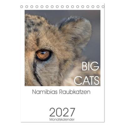 BIG CATS - Namibias Raubkatzen (Tischkalender 2027 DIN A5 hoch), CALVENDO Monatskalender