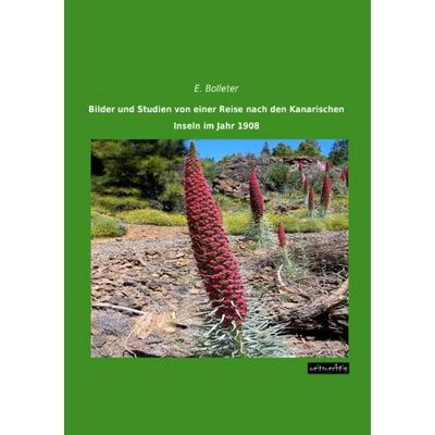 Bilder und Studien von einer Reise nach den Kanarischen Inseln im Jahr 1908, Taschenbuch von Ernst Bolleter, Weitsuechtig, 978-3-95656-240-2