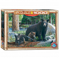 eurographics Puzzle - Neue Entdeckungen von Kevin Daniel - 1000 Teile 300846