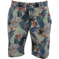 Alberto Shorts Earnie-Rev. Jungle, grün/blau