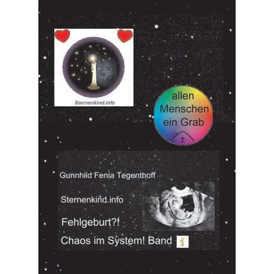 Fehlgeburt? Chaos im System! Band 1, Taschenbuch von Gunnhild Fenia Tegenthoff Sternenkind.info, Buchschmiede, 978-3-99070-024-2
