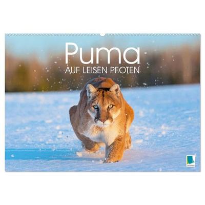 Puma: Auf leisen Pfoten (Wandkalender 2027 DIN A2 quer), CALVENDO Monatskalender