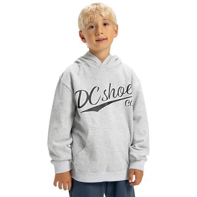 Hoodie DC SHOES "Substitute", Kinder, Gr. 10(140-148cm), grau (light erdgrau), Obermaterial: 55% Baumwolle, 25% Baumwolle, 20% Polyester., Sweatshirts Hoodie