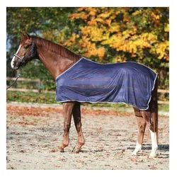 Kavalkade, Pferdedecke, (165 cm)