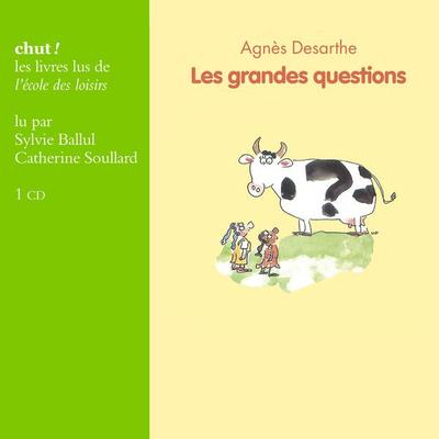 Les grandes questions - Agnès Desarthe, Audio, 9782211212953