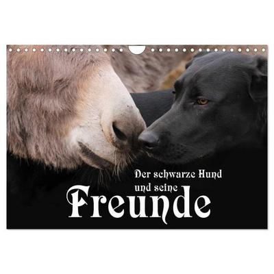 Der schwarze Hund und seine Freunde (Wandkalender 2026 DIN A4 quer), CALVENDO Monatskalender