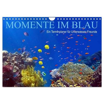 Momente im Blau - Ein Terminplaner für Unterwasser-Freunde (Wandkalender 2026 DIN A4 quer), CALVENDO Monatskalender