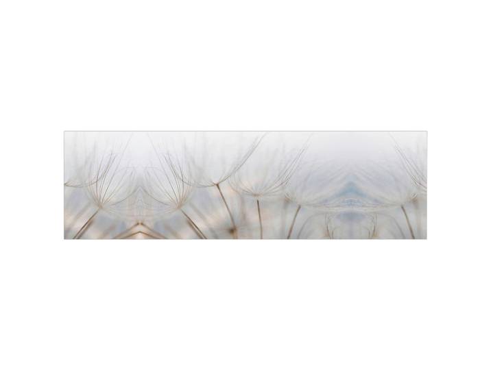 Fani Küchenrückwand Smart - Glas, Beigebraun, Metall, Kunststoff, Blume, 180x53.7x0.6 cm, mit Dekor, Spritzschutz, individuell zuschneidbar, Echtglas-Optik, Küchen, Küchenausstattung, Küchenrückwände