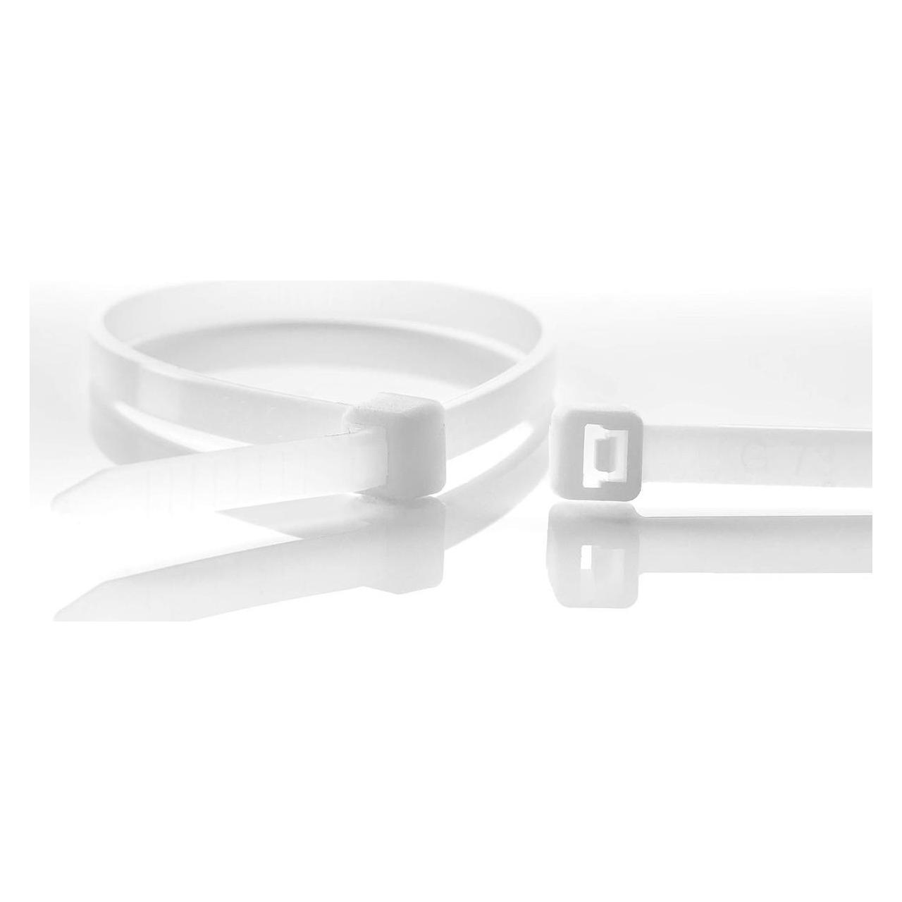 Kabelbinder 4,8 x 200 mm - 100 Stück - Farbe Natur (Kunststoffkabelbinder, 200 mm, 100 Stk.) (110126971)