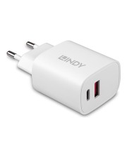 Lindy 20W USB Typ A & C Charger C CE (73413)