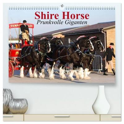 Shire Horse • Prunkvolle Giganten (hochwertiger Premium Wandkalender 2026 DIN A2 quer), Kunstdruck in Hochglanz
