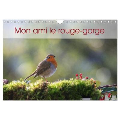 Mon ami le rouge-gorge (Calendrier mural 2027 DIN A4 vertical), CALVENDO calendrier mensuel