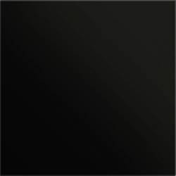 GIRA 5554925 Frontplatte Schwarz