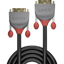 LINDY DVI Anschlusskabel DVI-D 24+1pol. Stecker, DVI-D 24+1pol. Stecker 10.00 m Schwarz 36226 DVI-Kabel