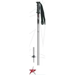 Skistöcke Juniorstock Pale