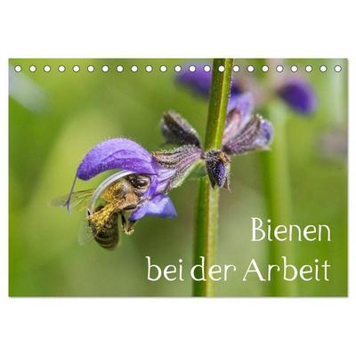 Bienen bei der Arbeit (Tischkalender 2027 DIN A5 quer), CALVENDO Monatskalender