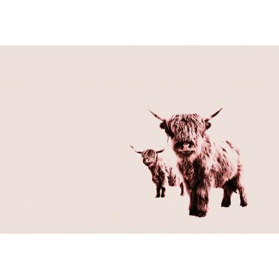 Fototapete LIVING WALLS "ARTist Highland Cows", beige (beige, rosa), B:4m L:2,7m, Vlies, Tapeten, Vlies, Wand, Schräge