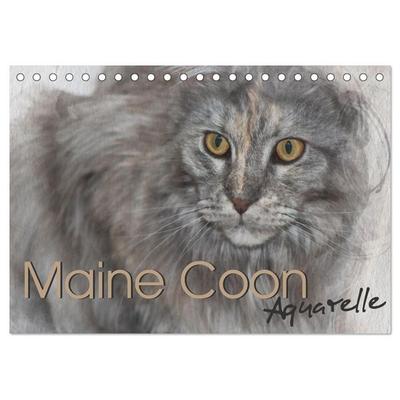 Maine Coon Aquarelle (Tischkalender 2026 DIN A5 quer), CALVENDO Monatskalender