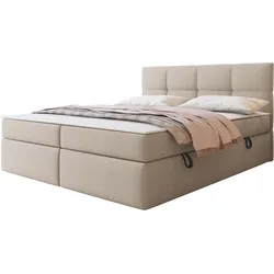 BOXBETT Figaro - H3