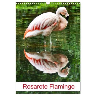 Rosarote Flamingo (Wandkalender 2027 DIN A3 hoch), CALVENDO Monatskalender