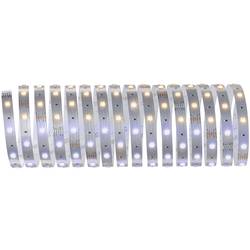 Paulmann 79863 LED-Streifen mit Stecker 24 V 5 m Warmweiß 5 m