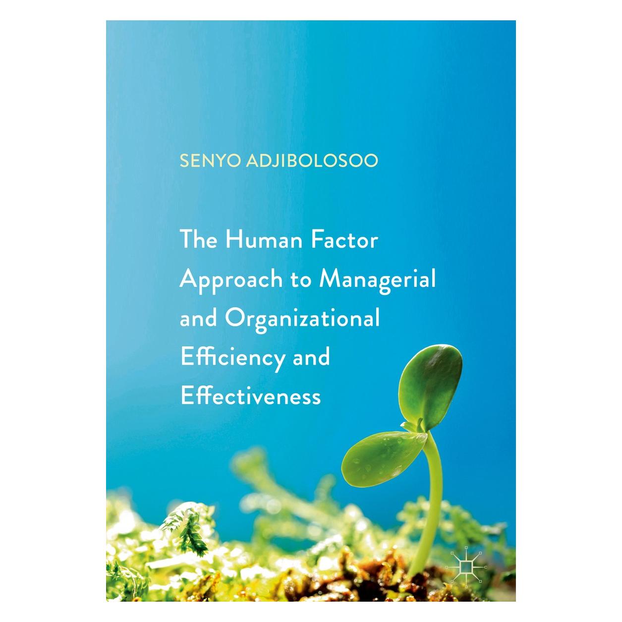 Springer The Human Factor Approach to Managerial and Organizational Efficiency and Effectivenes (Englisch, Hardcover, Senyo Adjibolosoo) (9783319613062)