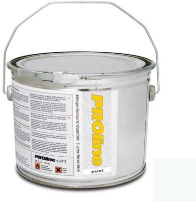 Hallenmarkierungsfarbe PROline-paint, weiß