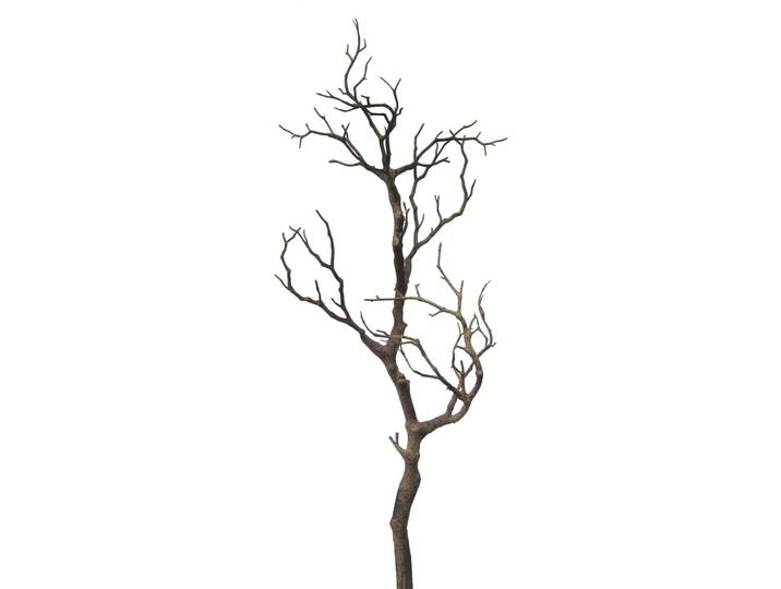Kunstblume Reduced braun Kunststoff H 73 cm