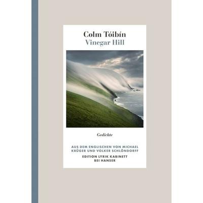 Vinegar Hill, Gebundene Ausgabe von Colm Tóibín, Carl Hanser, 978-3-446-28254-4