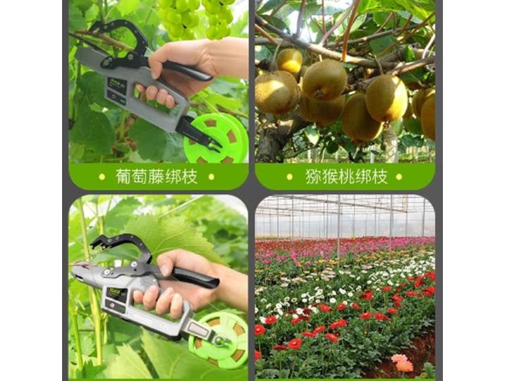 Nouvelle machine à attacher les vigne électrique pour les vignes de concombre/tomate, machine à attacher les vigne de tomate, machine à attacher les vigne de raisin