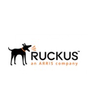 Ruckus 1 Jahre 24x7 WatchDog Premium Support advance parts replacement T310C 5 Y (803-T31C-5000)