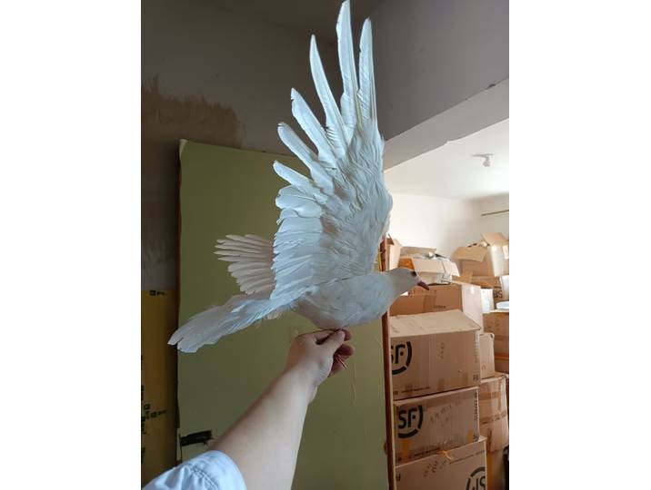 Jolies plumes blanches en mousse de paix et plumes, modèle de colombe, décoration artisanale de jardin, environ 42x70cm, cadeau a2414