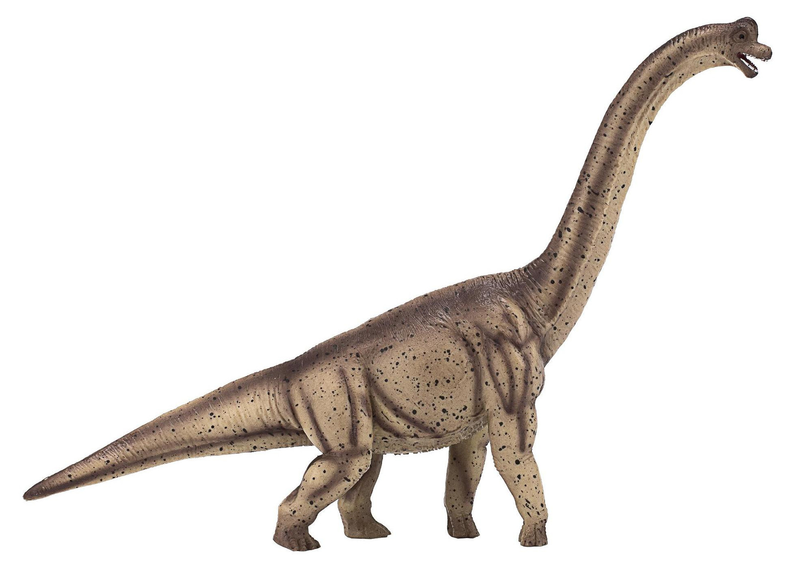 Animal Planet Brachiosaurus speelgoed voor kleine voeten