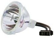 Original Phoenix Bulb for the D42-LMP-SHP Toshiba Lamp Enclosure