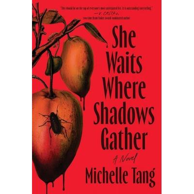 She Waits Where Shadows Gather, Taschenbuch von Michelle Tang, Sourcebooks LLC, 978-1-4642-5104-7