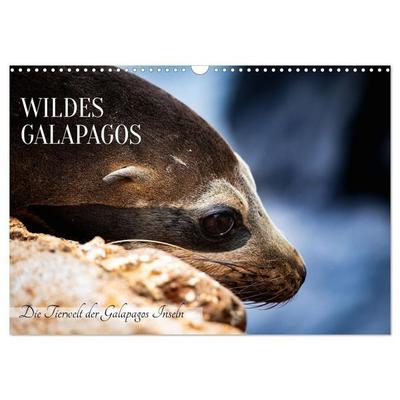 Wildes Galapagos - Die Tiere der Galapagos Inseln (Wandkalender 2027 DIN A3 quer), CALVENDO Monatskalender