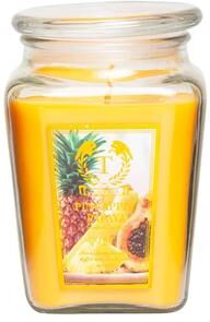Quick Pick Pro Scented Candle Gift Set For Women, 6 Aroma Scented Candles For Christmas, Birthdays, And Relaxation pineapple Papaya