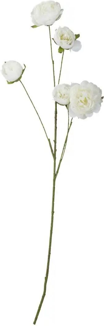 Höffner Deko Peonie   ¦ weiß ¦ Kunststoff ¦ Maße (cm): H: 110