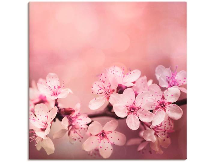 Leinwandbild ARTLAND Kirschblüten , pink (farbe bild(er): pink), B:70cm H:70cm, Bilder, Leinwandbild, auf Holzrahmen gespannt
