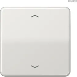 Jung Steuertaste Standard Symbole Pfeile CD 1700 P LG