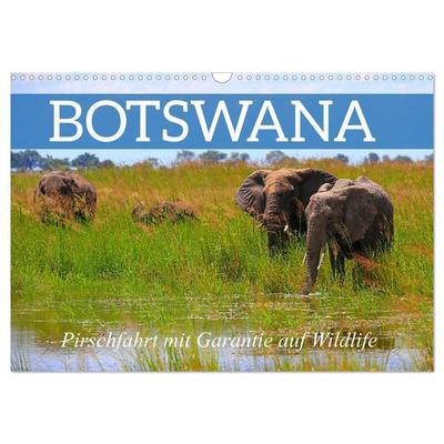 Botswana- Pirschfahrt mit Garantie auf Wildlife (Wandkalender 2027 DIN A3 quer), CALVENDO Monatskalender