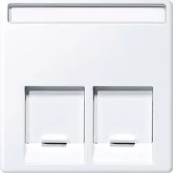 Merten Zentralplatte 2-fach aktivws gl MEG4574-0325