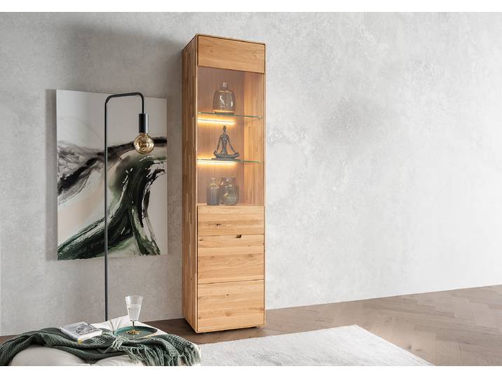 Beleuchtete Standvitrine 51 x 200 x 40cm Holz/Braun