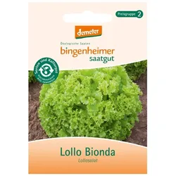 Lollosalat - Lollo Bionda