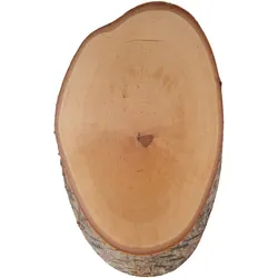 Hirschschild Birke